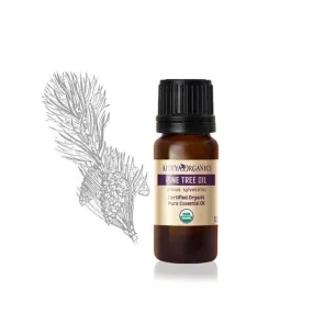 Pine Needle essential oil /Pinus silvestris sibirics/